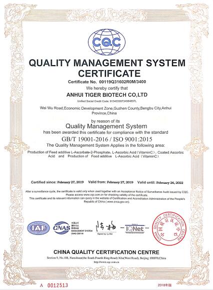 ISO9001-VC